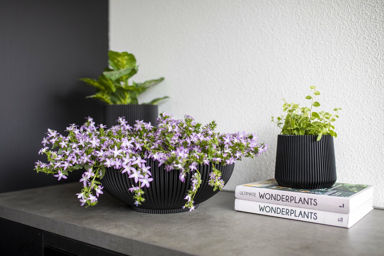 Schale Groove Schwarz