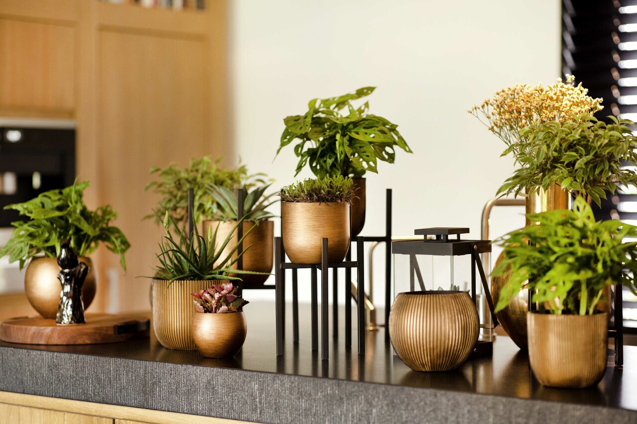 Topf Kugel Groove Schwarz Gold