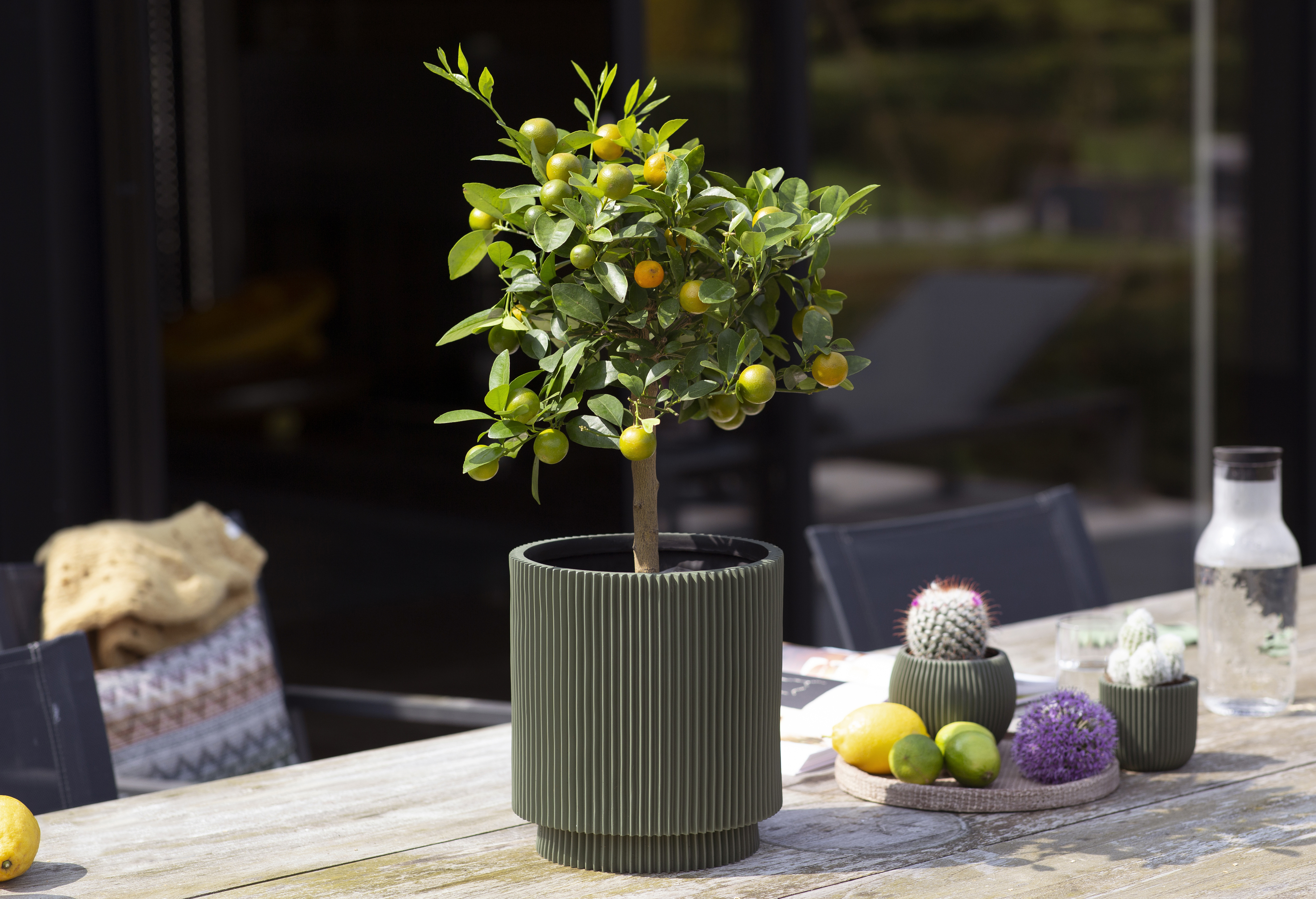 Topf Kugel Groove Grün Topf Kugel Groove Grün