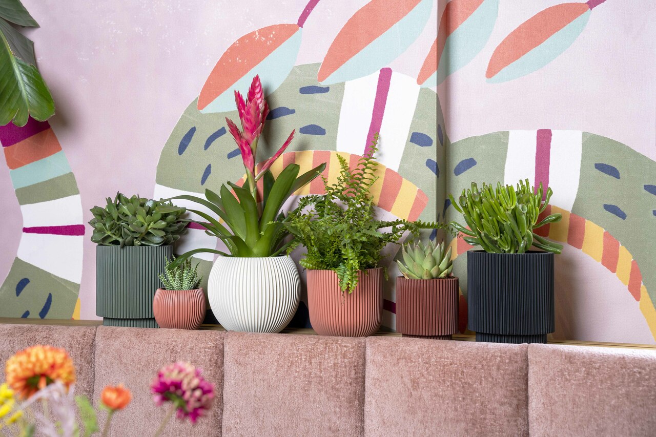 Gefäß Kugel Groove Rosa Gefäß Kugel Groove Rosa