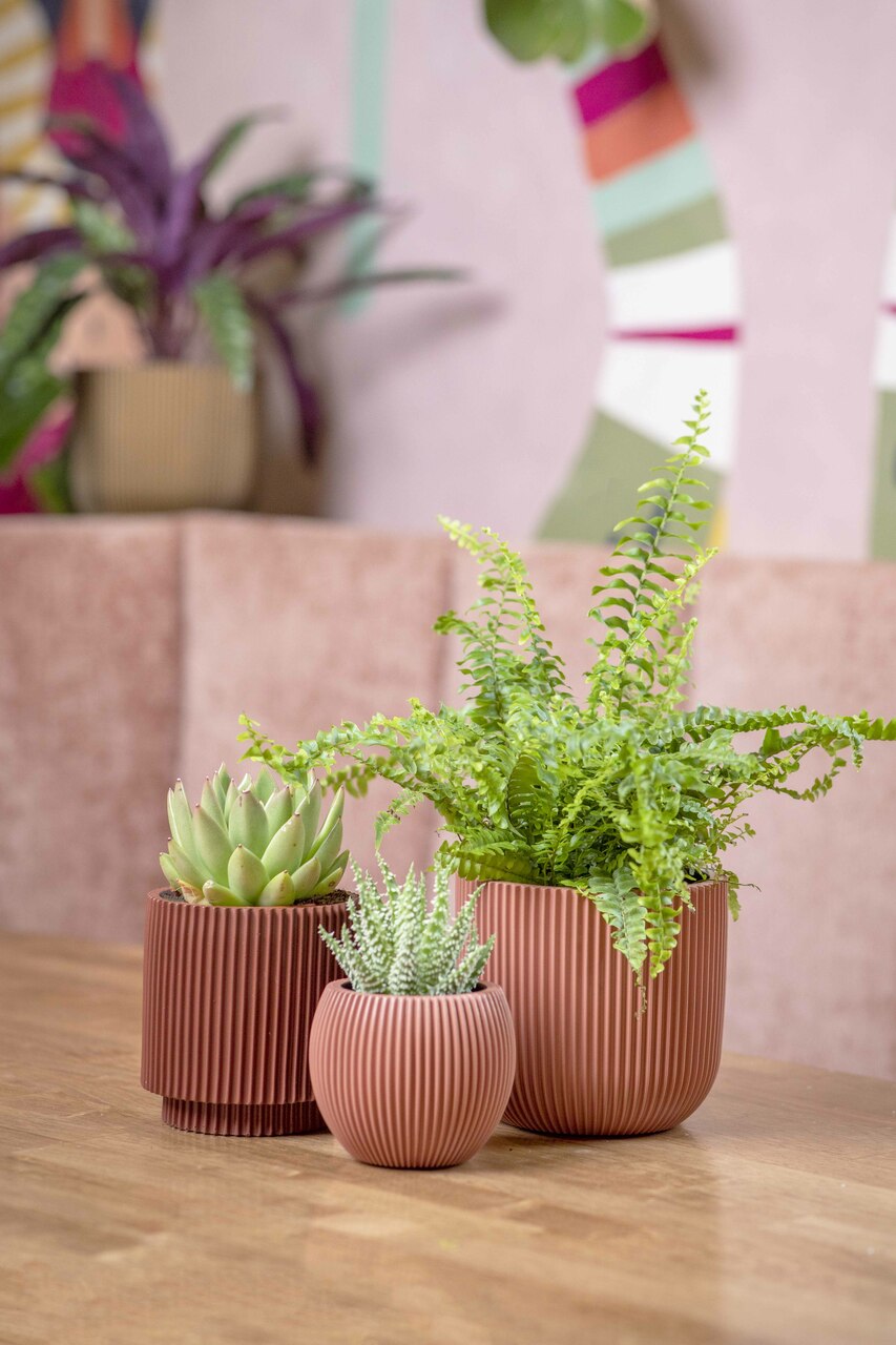 Topf Kugel Groove Rosa Topf Kugel Groove Rosa