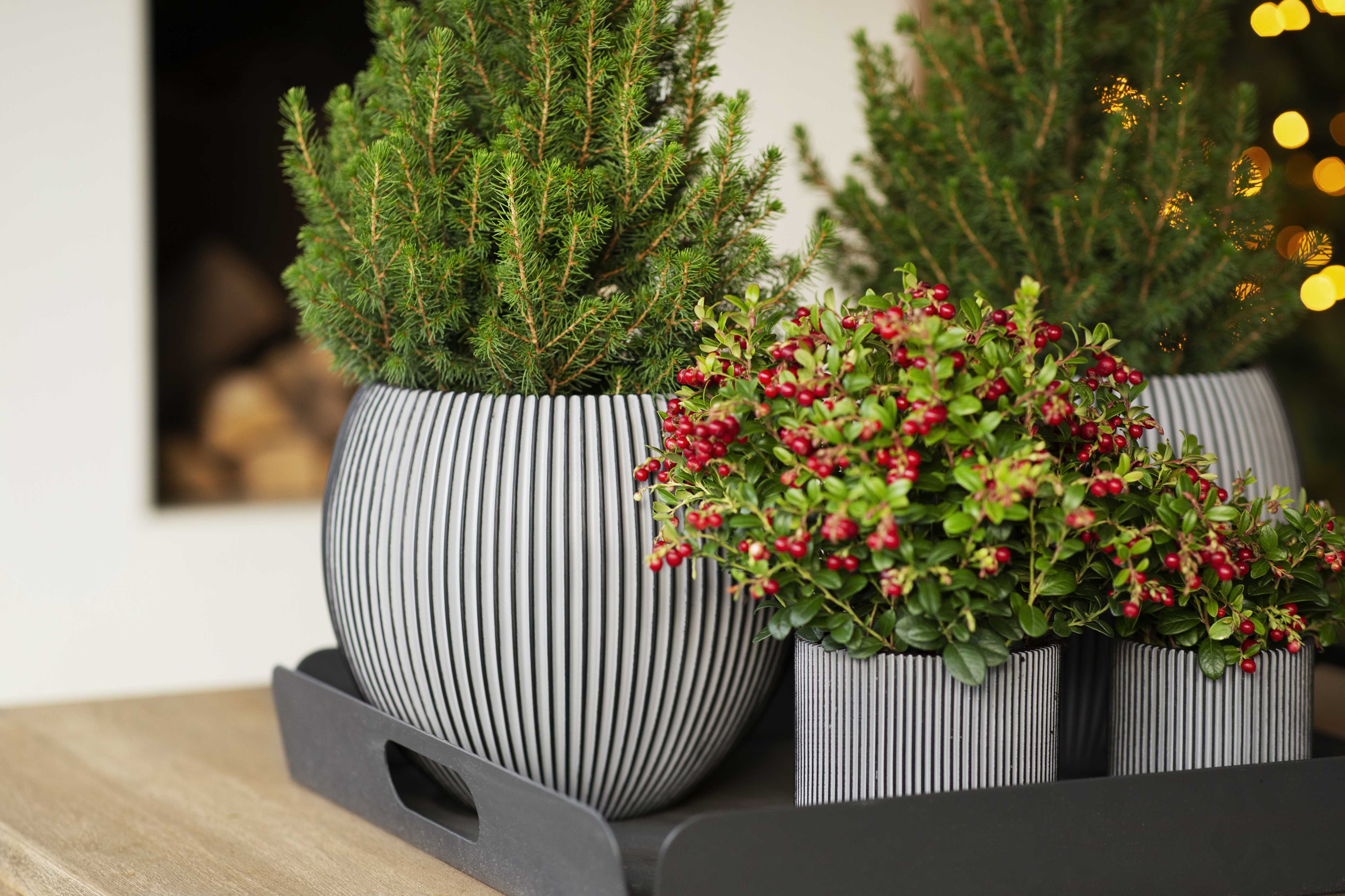 Gefäß Zylinder Groove Anthrazit Gefäß Zylinder Groove Anthrazit