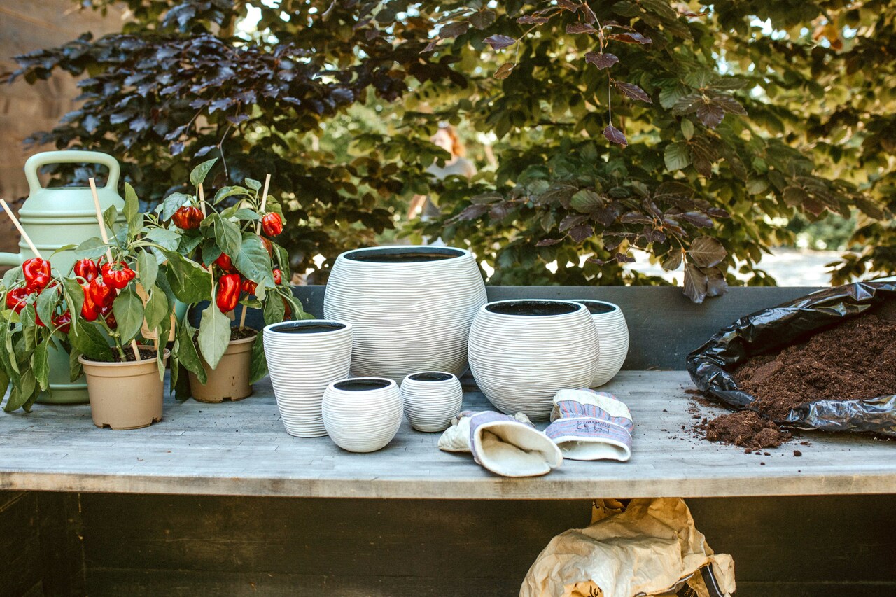 Gefäß Kugel Rib Elfenbein