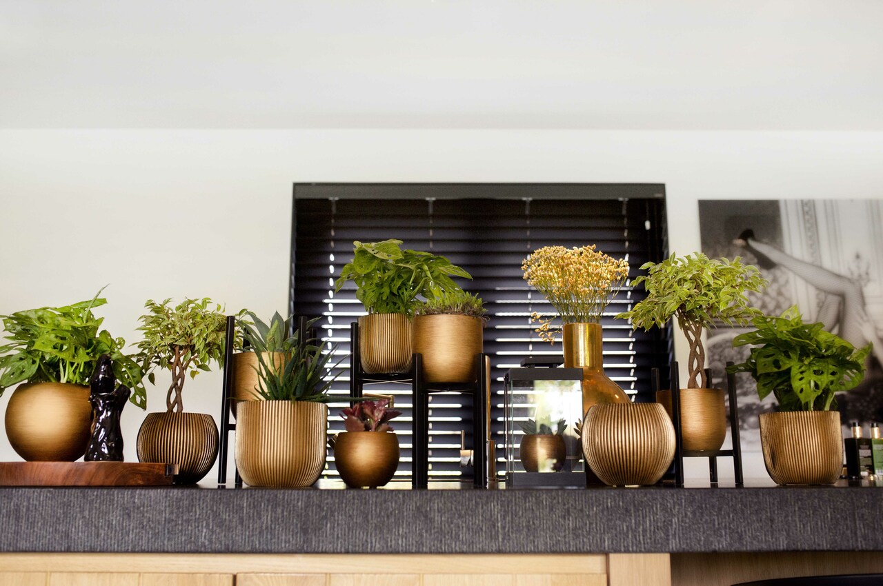 Gefäß Kugel Retro Gold Gefäß Kugel Retro Gold