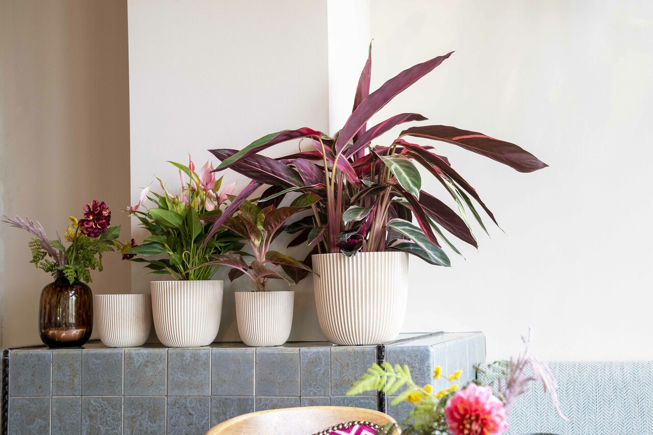 Topf Kugel Groove Sägemehl Beige Topf Kugel Groove Sägemehl Beige