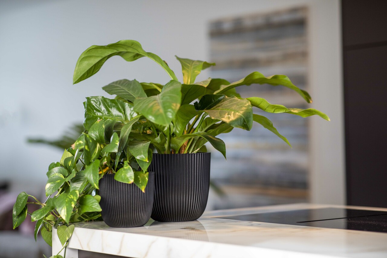 Topf Kugel Groove Textile Schwarz Topf Kugel Groove Textile Schwarz