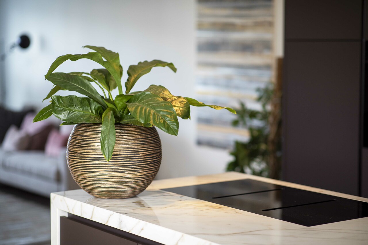 Gefäß Kugel Rib NL Schwarz Gold