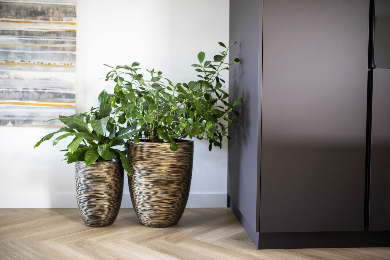 Gefäß Elegant Niedrig Rib NL Schwarz Gold