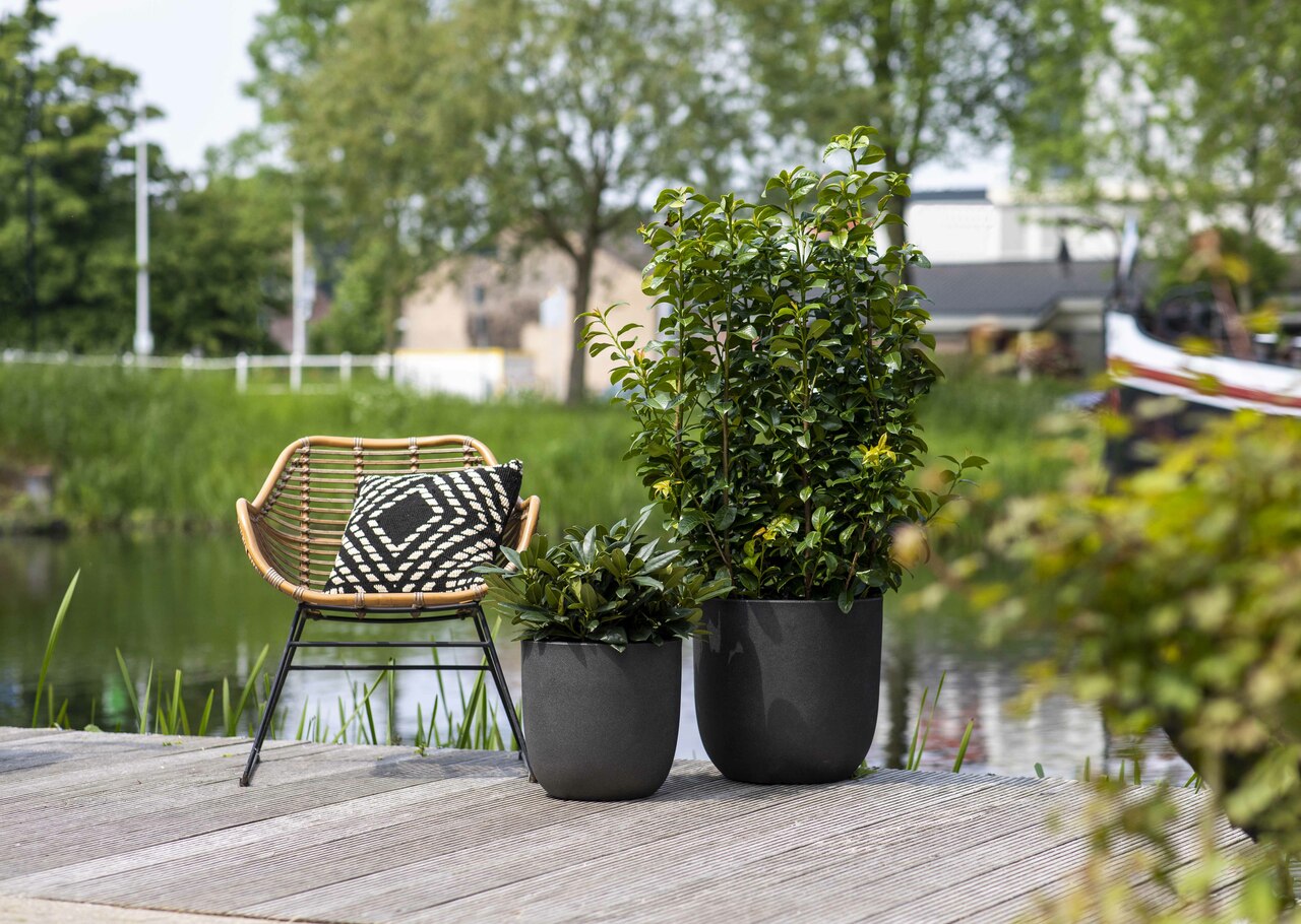 Topf Kugel Smooth NL Schwarz