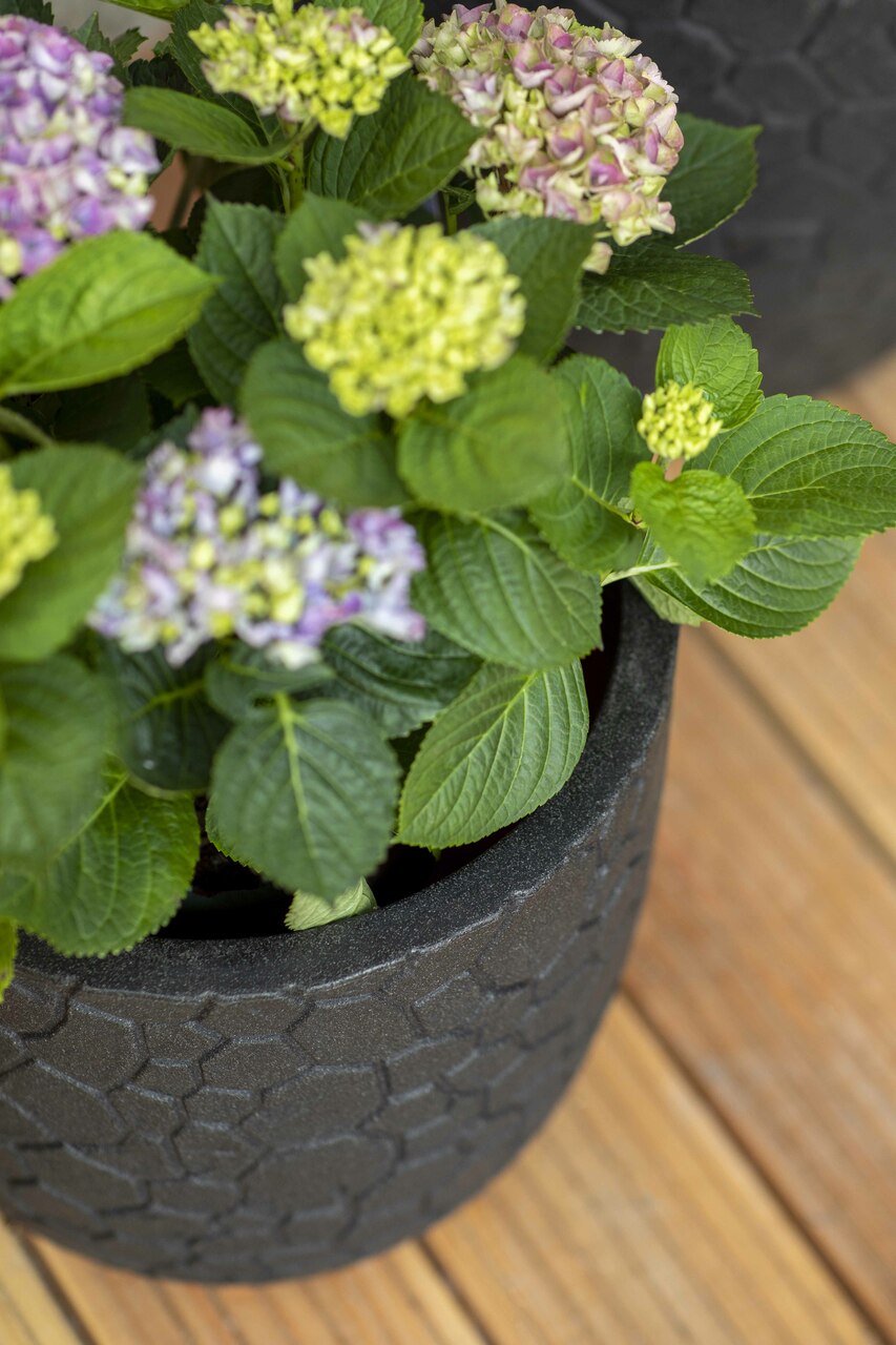 Topf Kugel Clay NL Schwarz Topf Kugel Clay NL Schwarz