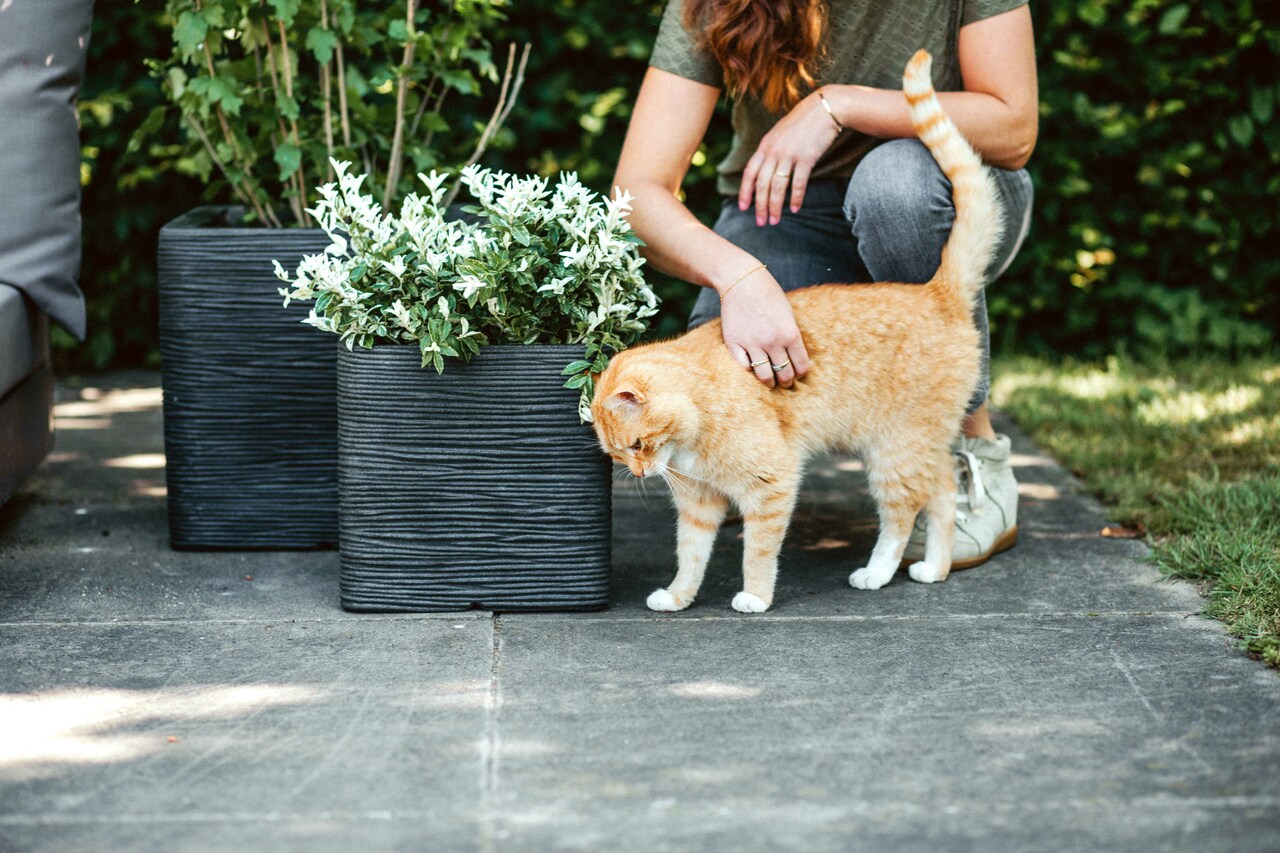 Topf Quadratisch Rib NL Schwarz Topf Quadratisch Rib NL Schwarz