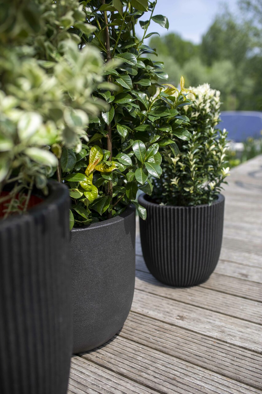 Topf Kugel Groove NL Schwarz Topf Kugel Groove NL Schwarz