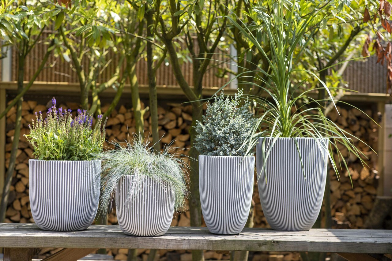 Gefäß Elegant Niedrig Groove NL Elfenbein Gefäß Elegant Niedrig Groove NL Elfenbein