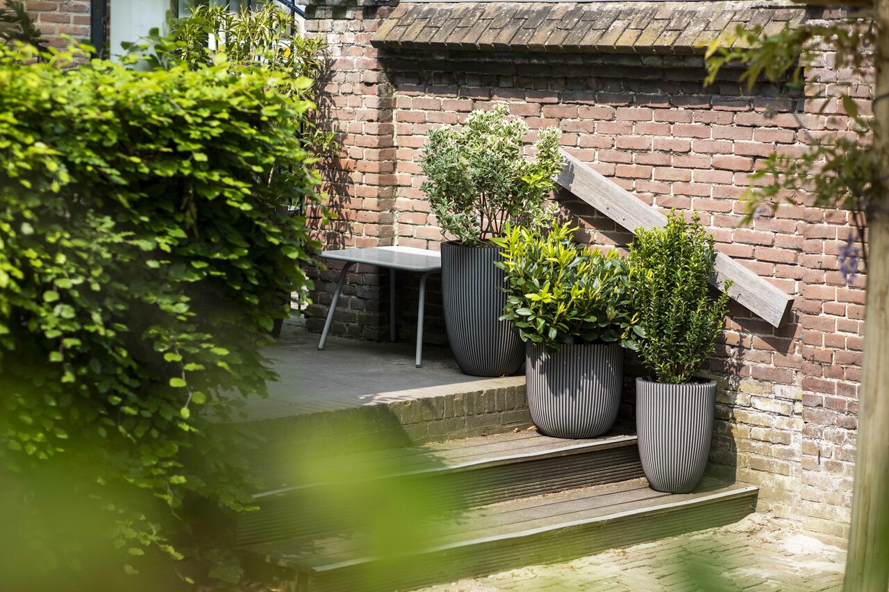 Gefäß Elegant Niedrig Groove NL Anthrazit