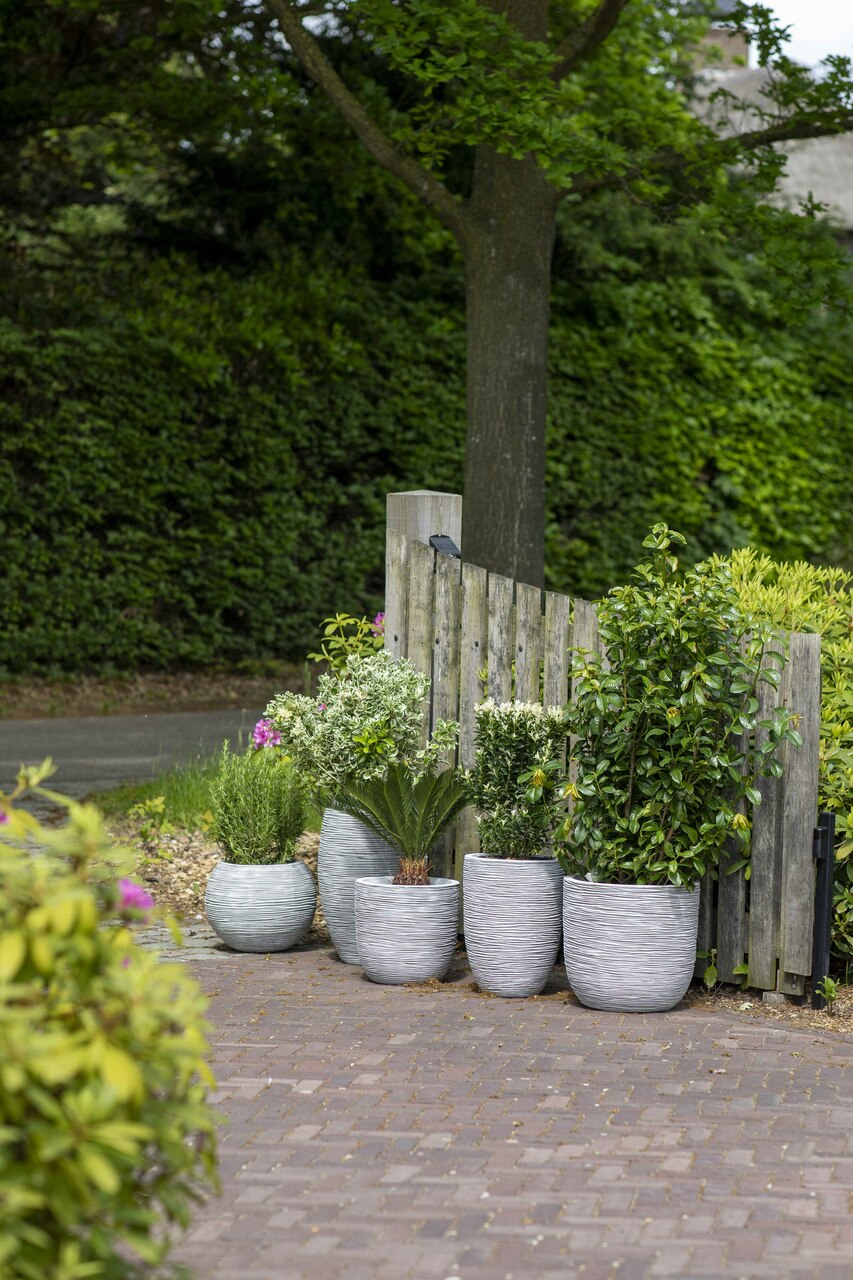 Gefäß Elegant Niedrig Rib NL Elfenbein