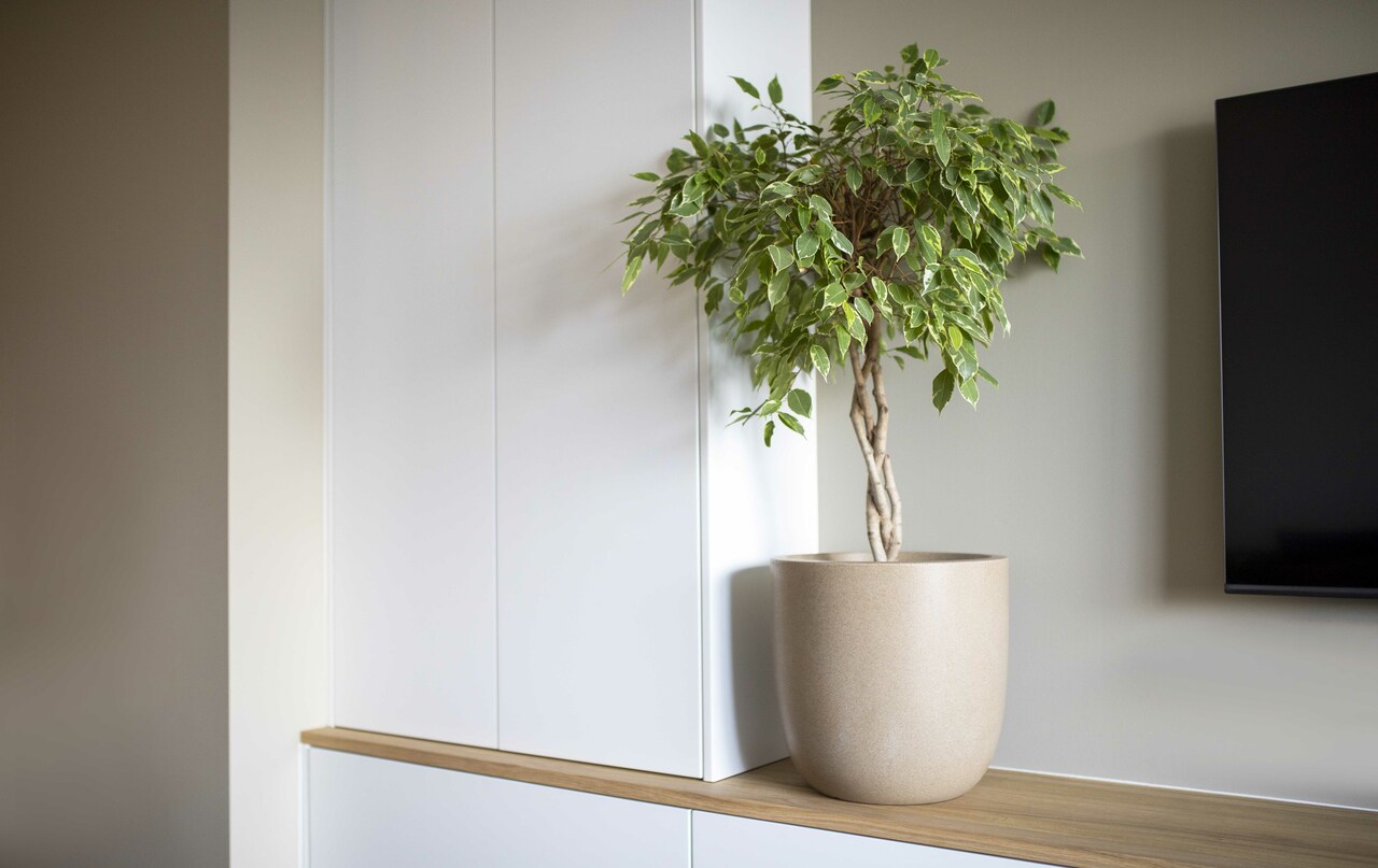 Topf Kugel Kork Smooth NL Terrazzo Beige Topf Kugel Kork Smooth NL Terrazzo Beige