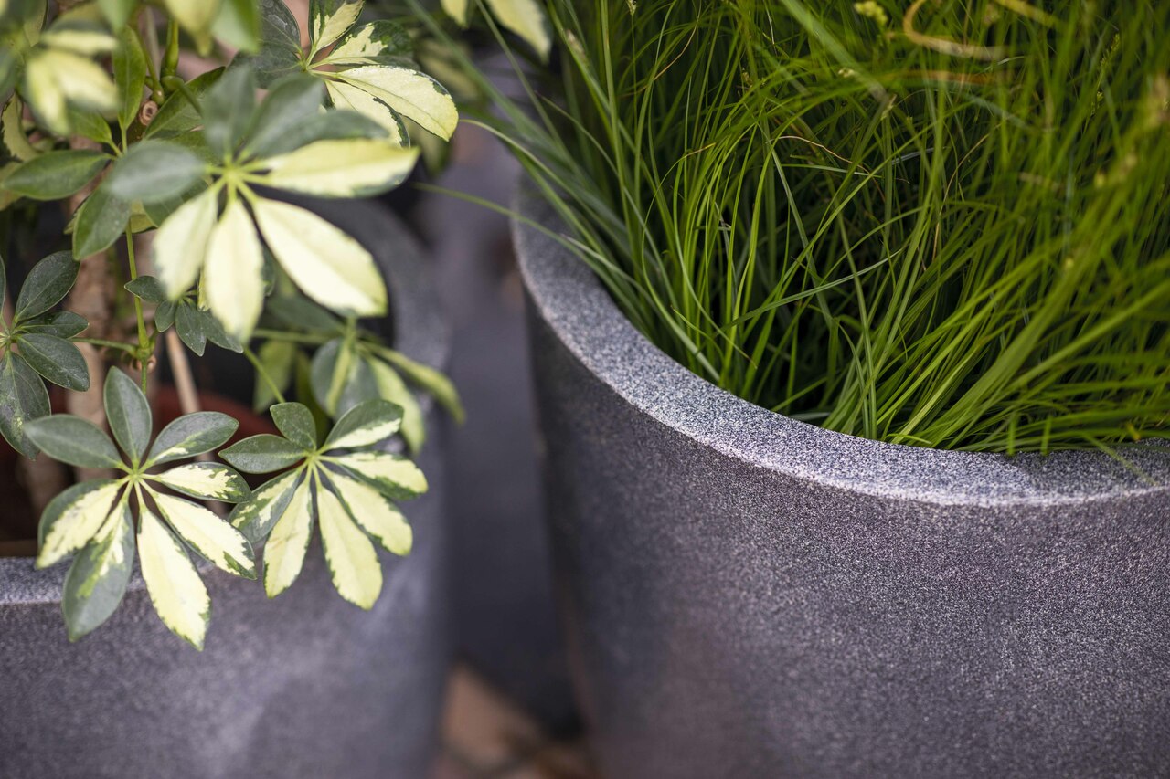 Topf Kugel Kork Smooth NL Terrazzo Grau Topf Kugel Kork Smooth NL Terrazzo Grau