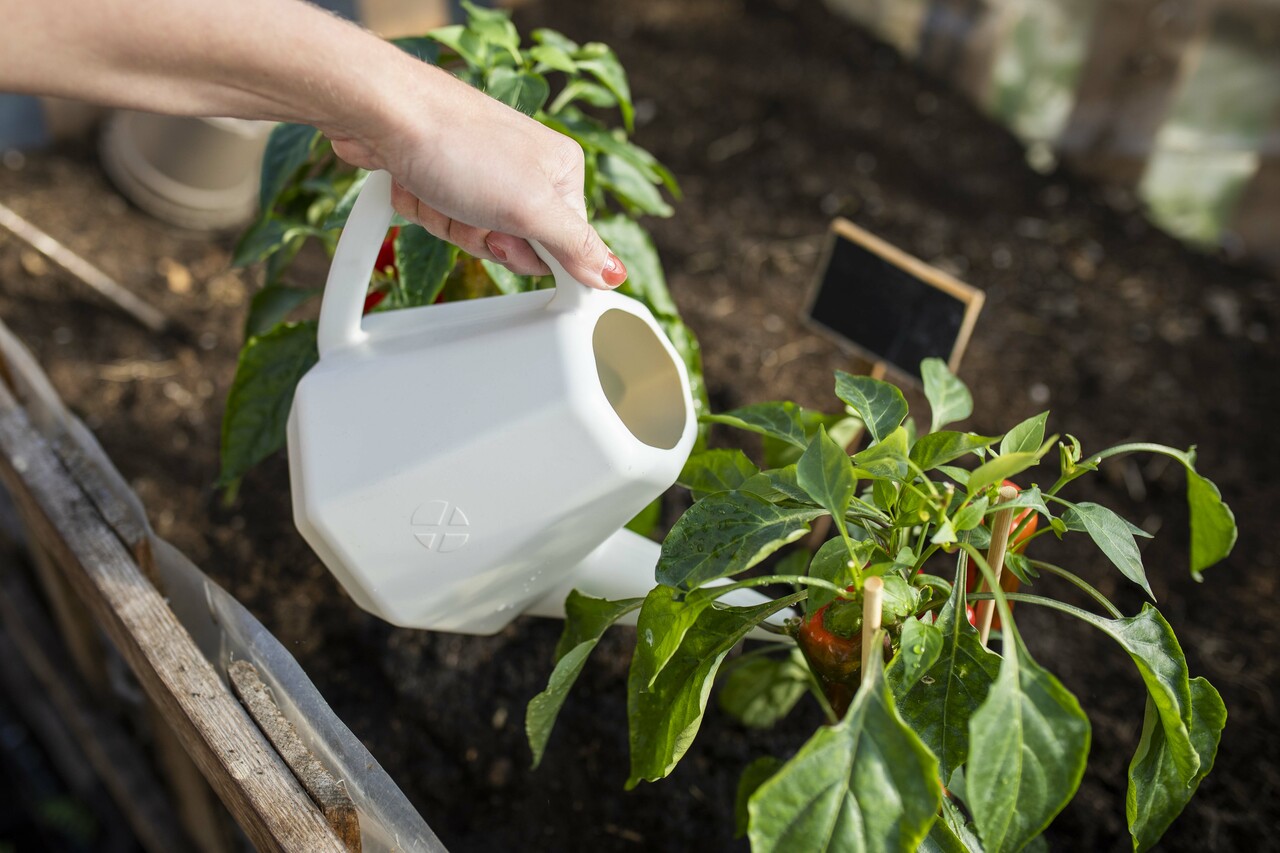 Gieβkanne Doppio Smooth Hellgrau