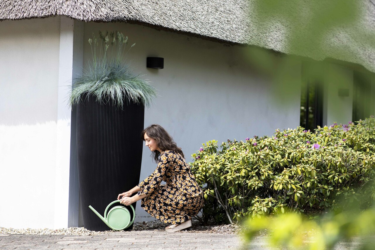 Gieβkanne Matcha Altes Grün