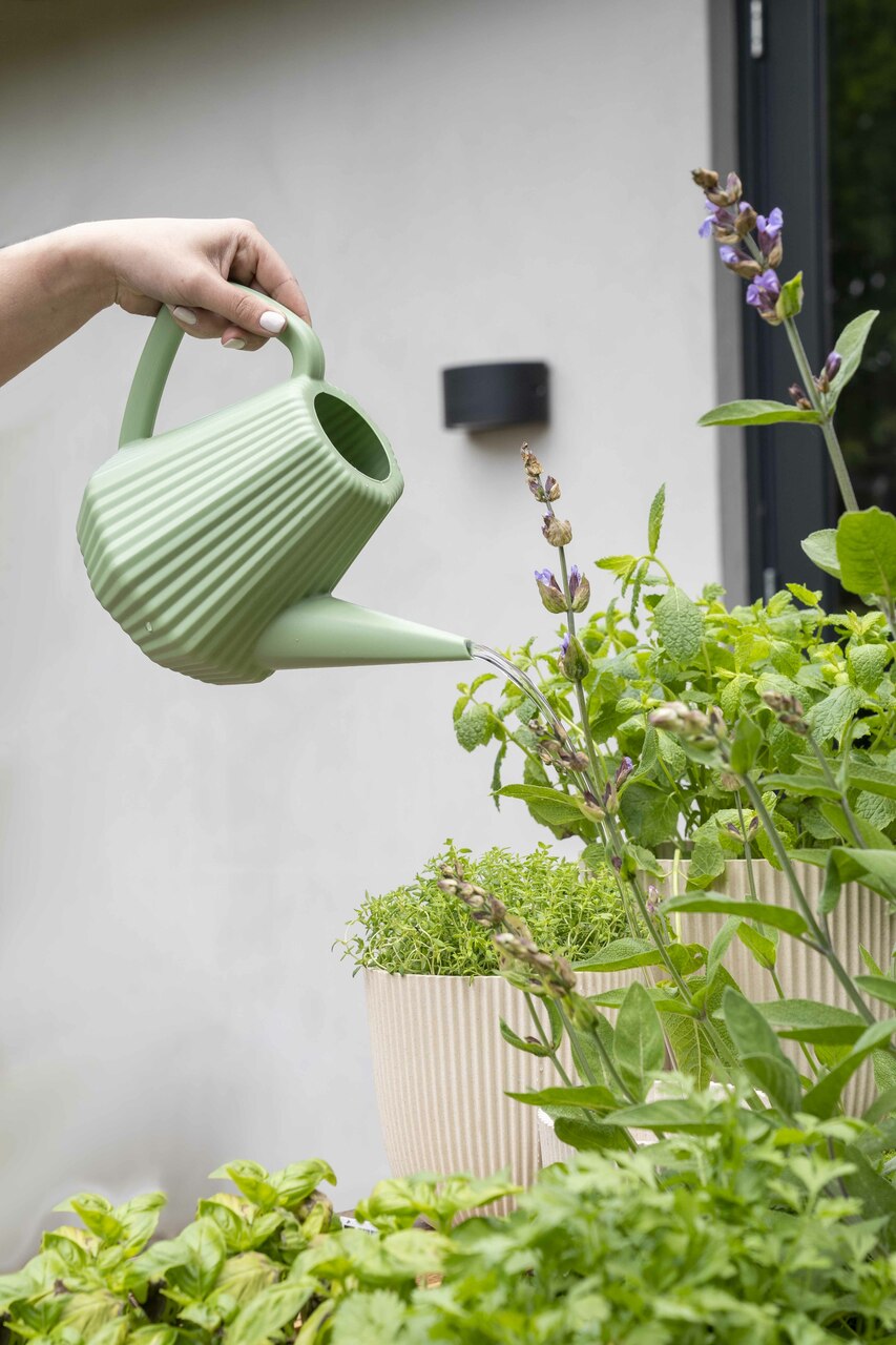 Gieβkanne Doppio Groove Altes Grün