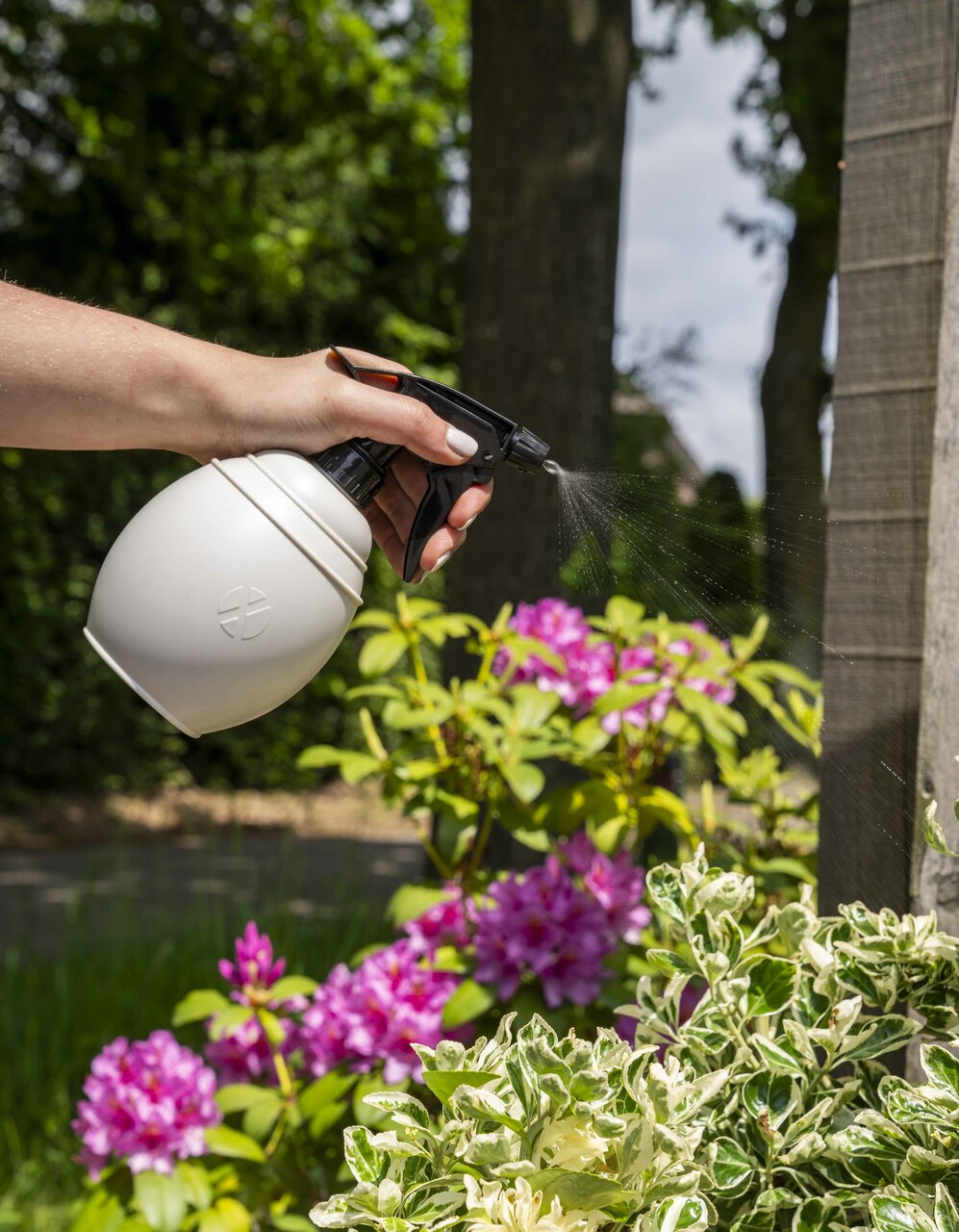 Pflanzensprühgerät Chai Hellgrau Pflanzensprühgerät Chai Hellgrau