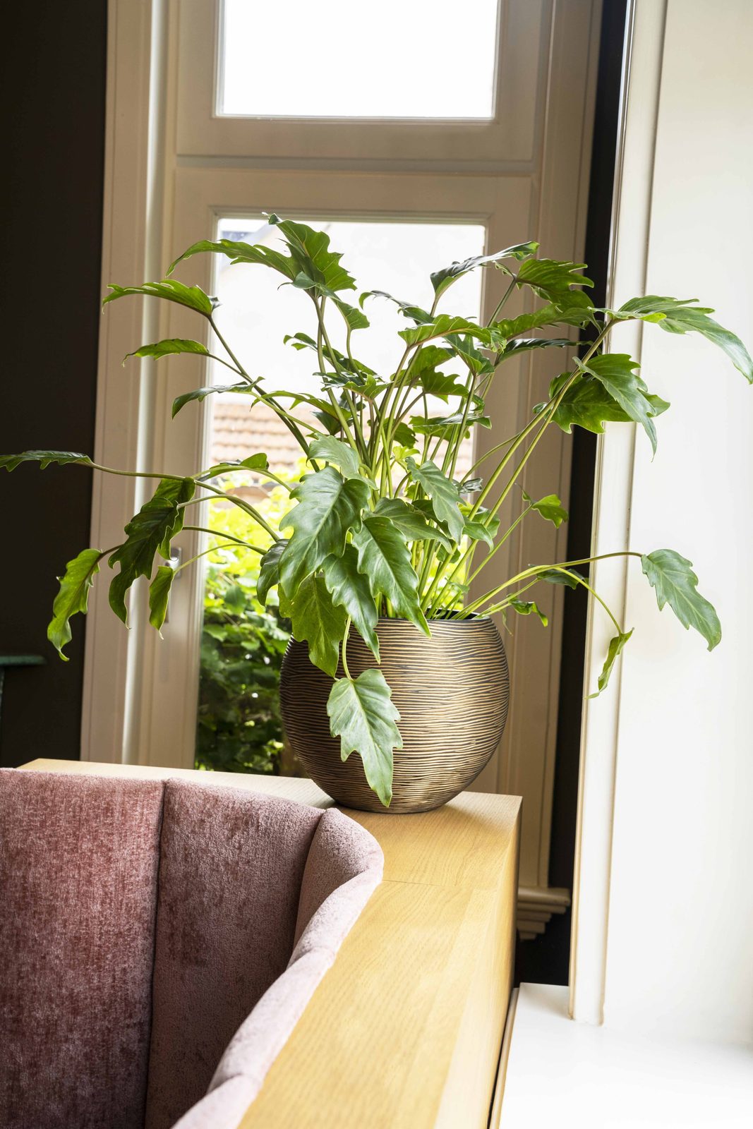 Indoor Rib Vase Ball Black gold