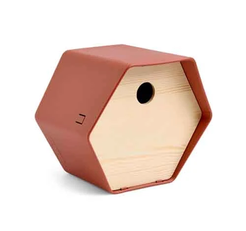 Bird House 1 Hive Brown