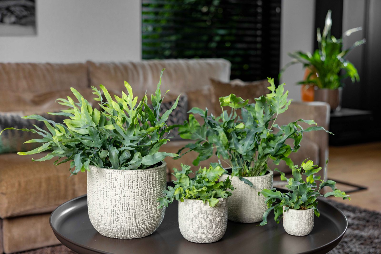 Indoor Skin Planter Ball Beige