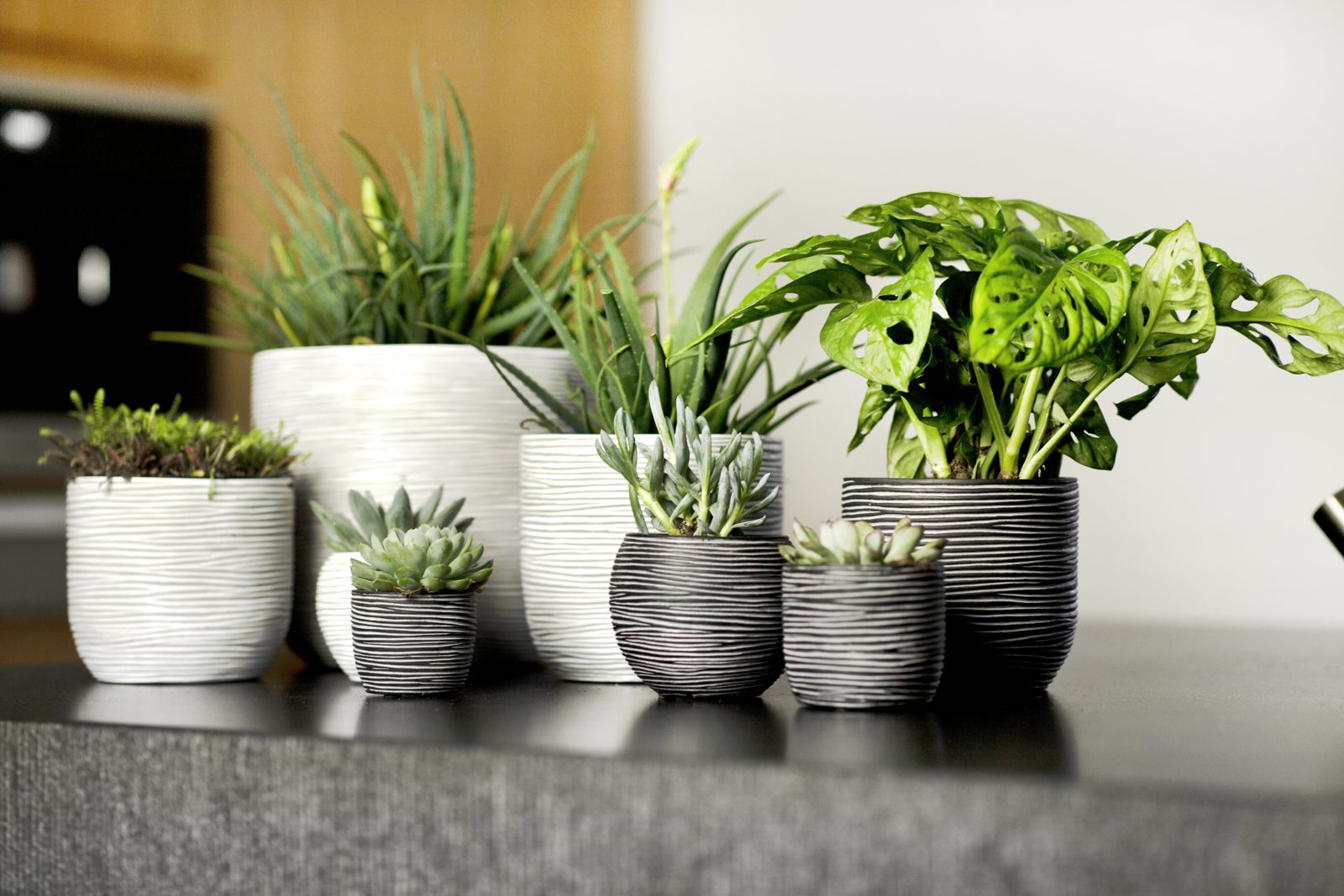 Indoor Rib Planter Ball Ivory