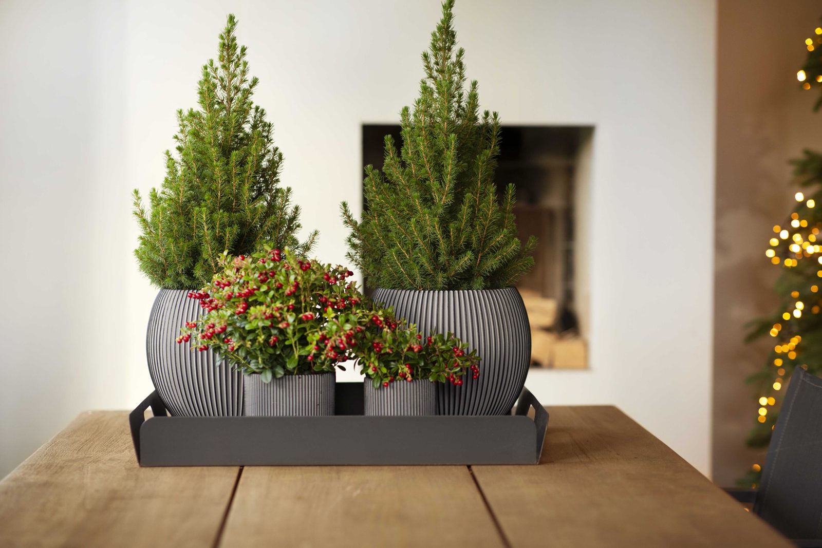 Indoor Groove Vase Cylinder Anthracite