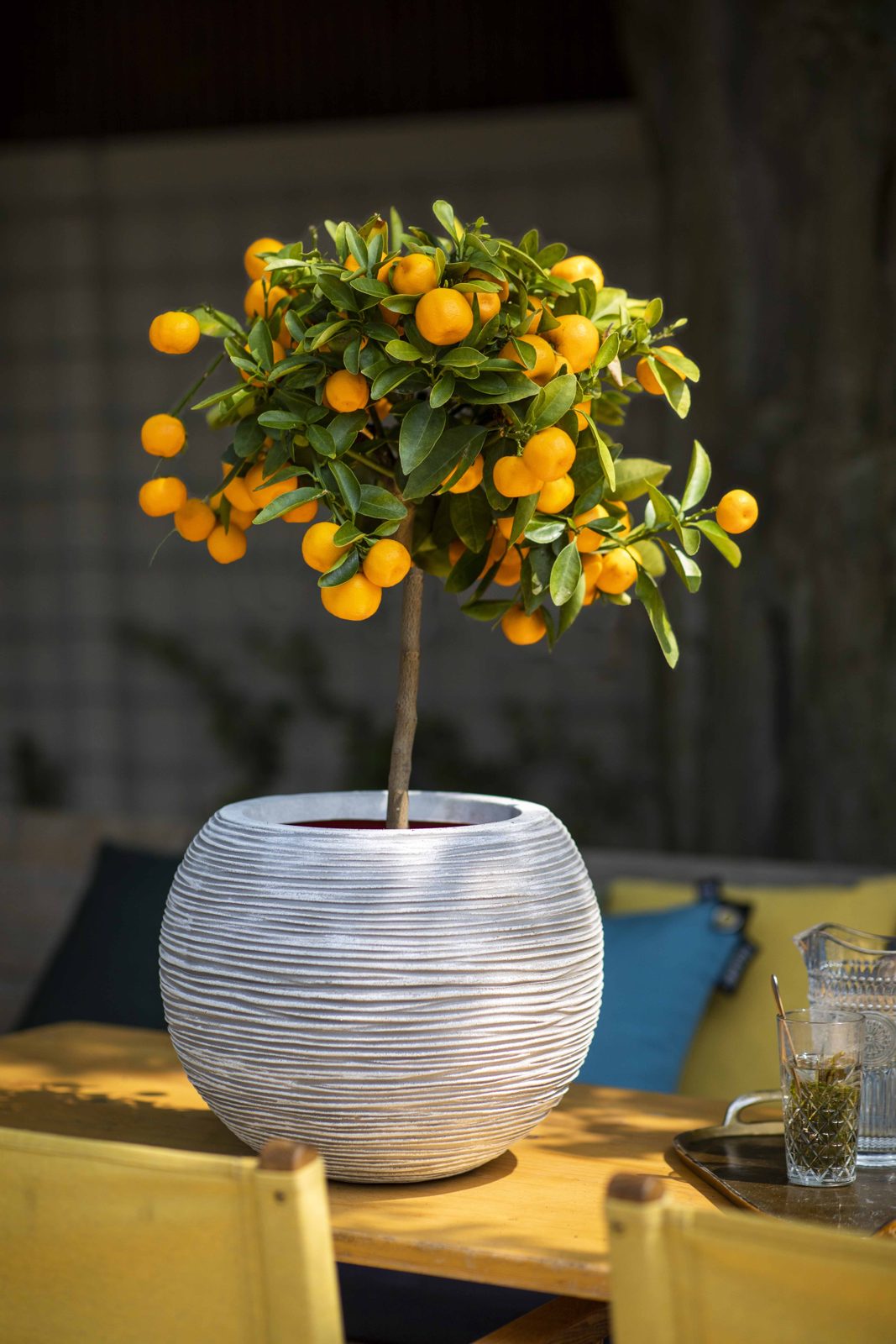 Vase ball Rib Ivory Vase ball Rib Ivory