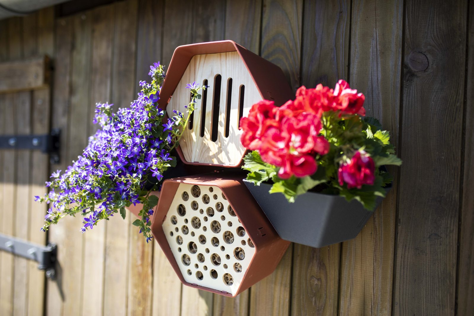 Planter Hive Anthracite Planter Hive Anthracite