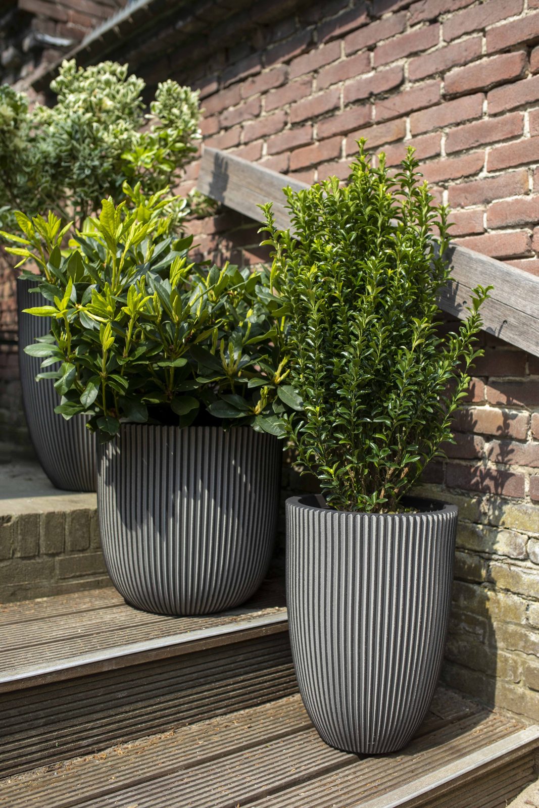 Planter ball Groove NL Anthracite