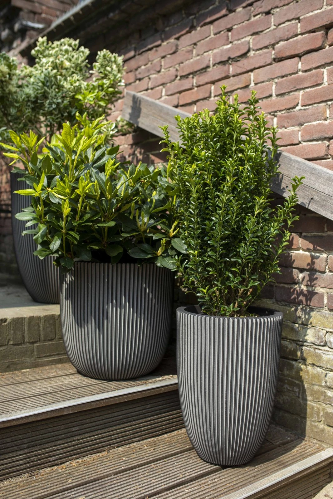 Planter ball Groove NL Anthracite