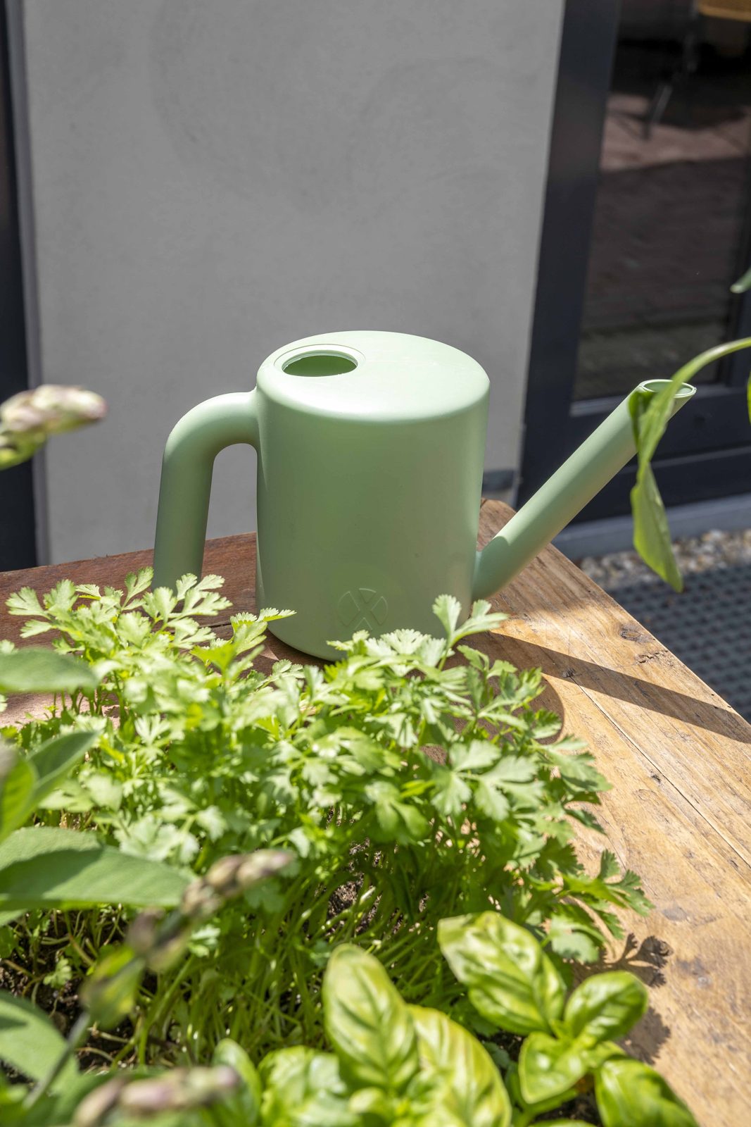 Watering can Kappu Old green