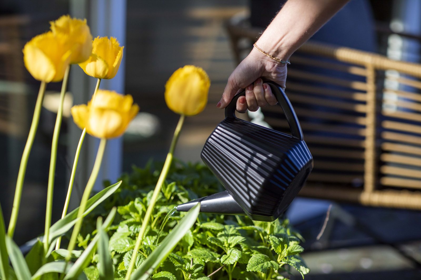 Watering can Doppio Groove Black